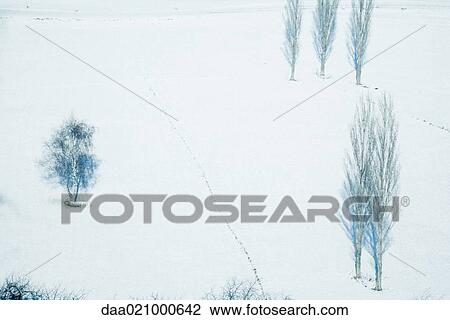 Stock Image - Snow-covered landscape with bare trees, high angle view. Fotosearch
