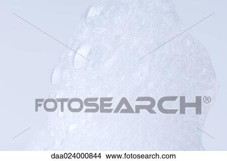 Soap suds View Large Photo Image Picture - Soap suds. Fotosearch
