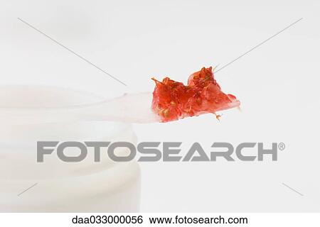 Spatula resting on small container, holding fig flesh View Large Photo Image Stock Photograph - Spatula resting on small container, holding fig flesh. Fotosearch