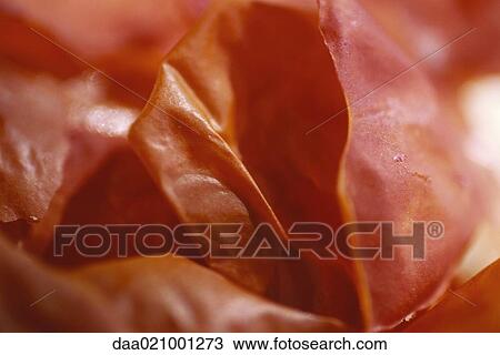 Spice, extreme close-up View Large Photo Image Stock Image - Spice, extreme close-up. Fotosearch