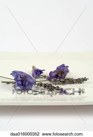 Stock Image - Sprigs of dried lavender and flowers on dish. Fotosearch