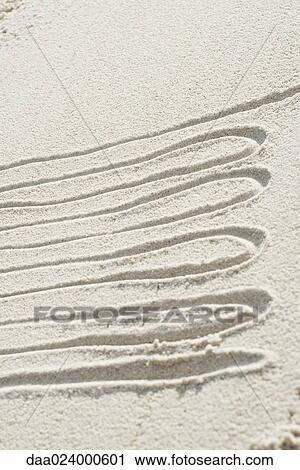 Squiggly pattern drawn in sand View Large Photo Image Stock Image - Squiggly pattern drawn in sand. Fotosearch