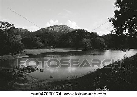 Sri Lanka, landscape with lake View Large Photo Image Picture - Sri Lanka, landscape with lake. Fotosearch