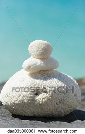 Stock Image - Stack of coral, close-up. Fotosearch