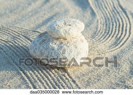 Stack of coral on raked sand View Large Photo Image Stock Photo - Stack of coral on raked sand. Fotosearch