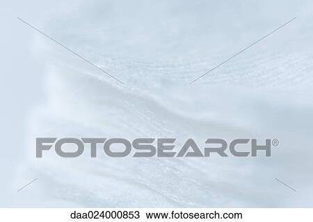 Stack of cotton pads, extreme close-up View Large Photo Image Stock Image - Stack of cotton pads, extreme close-up. Fotosearch