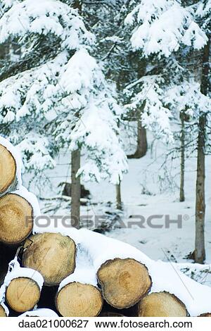 Stack of firewood in snow View Large Photo Image Stock Photo - Stack of firewood in snow. Fotosearch