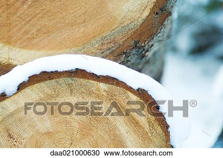 Stack of snow-covered logs, extreme close-up View Large Photo Image Stock Image - Stack of snow-covered logs, extreme close-up. Fotosearch