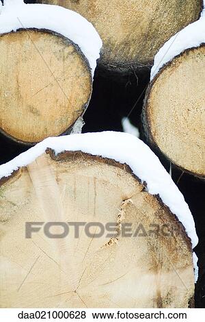 Stock Photo - Stack of snow-covered logs. Fotosearch