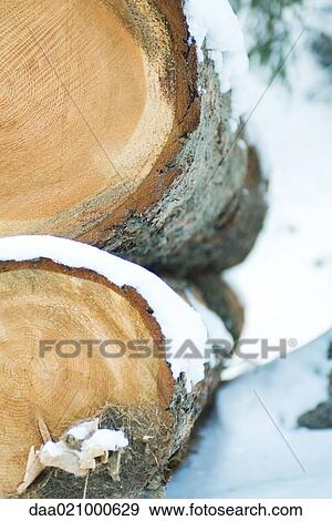 Stack of snow-covered logs View Large Photo Image Stock Photo - Stack of snow-covered logs. Fotosearch