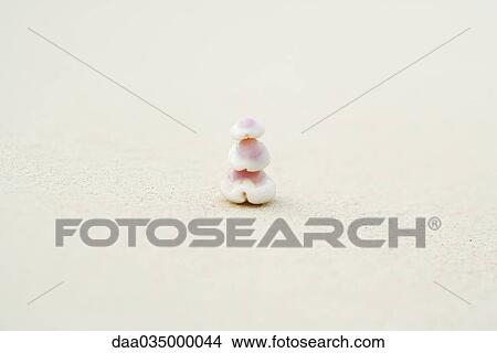 Stack on seashells on sand View Large Photo Image Picture - Stack on seashells on sand. Fotosearch