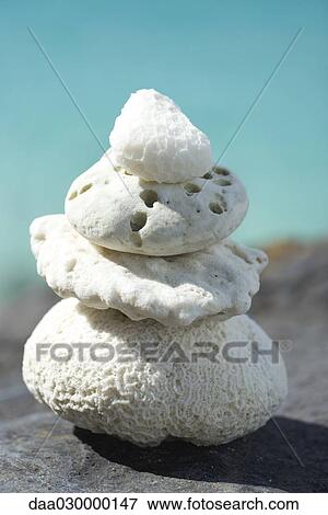 Stacked coral pieces, close-up View Large Photo Image Stock Photo - Stacked coral pieces, close-up. Fotosearch