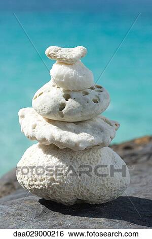 Stacked coral pieces, close-up View Large Photo Image Stock Photograph - Stacked coral pieces, close-up. Fotosearch