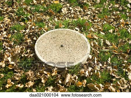 Stepping stone on grass scattered with dried leaves View Large Photo Image Picture - Stepping stone on grass scattered with dried leaves. Fotosearch