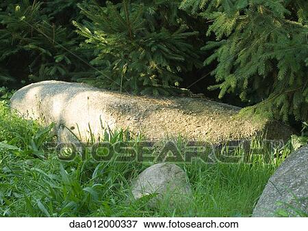 Stone and grass View Large Photo Image Stock Photo - Stone and grass. Fotosearch