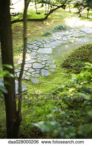 Stone path in garden View Large Photo Image Stock Photograph - Stone path in garden. Fotosearch
