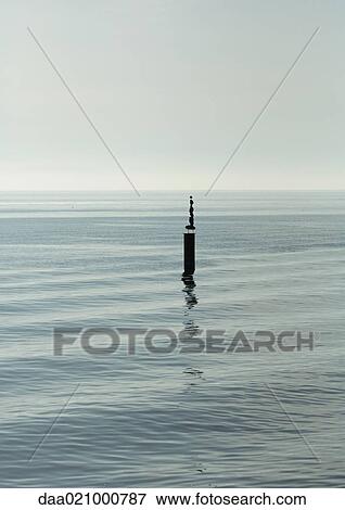 Stones stacked on wooden pole in body of water View Large Photo Image Stock Photo - Stones stacked on wooden pole in body of water. Fotosearch
