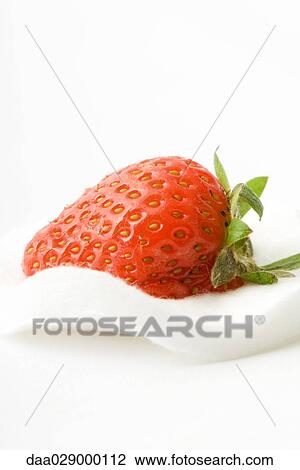 Strawberry on cotton cosmetic pad View Large Photo Image Stock Image - Strawberry on cotton cosmetic pad. Fotosearch