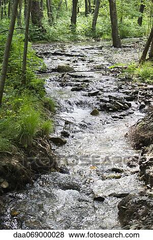Stream flowing through woods View Large Photo Image Stock Photo - Stream flowing through woods. Fotosearch