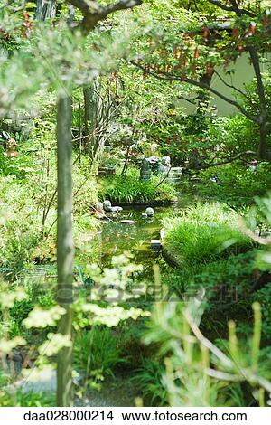 Picture - Stream in Japanese garden. Fotosearch