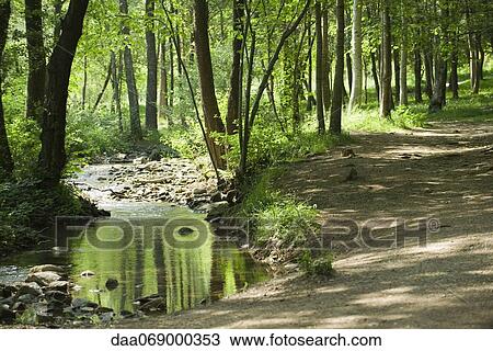 Stream running through woods View Large Photo Image Stock Image - Stream running through woods. Fotosearch