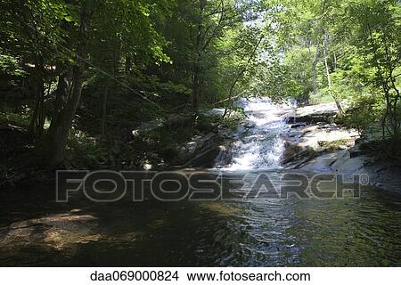 Stream through woods View Large Photo Image Picture - Stream through woods. Fotosearch