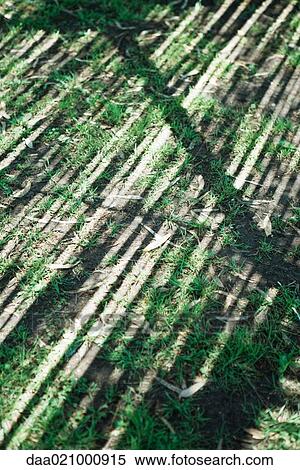 Striped shadows on ground View Large Photo Image Stock Photography - Striped shadows on ground. Fotosearch