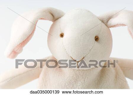 Stuffed rabbit, close-up View Large Photo Image Stock Photo - Stuffed rabbit, close-up. Fotosearch