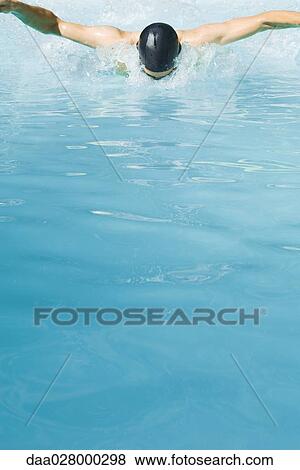 Swimmer doing butterfly stroke in pool View Large Photo Image Stock Photo - Swimmer doing butterfly stroke in pool. Fotosearch