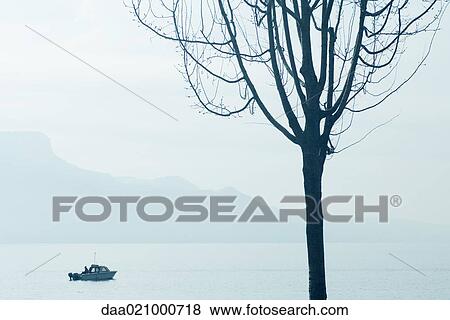 Switzerland, boat on Lake Geneva, tree in foreground View Large Photo Image Stock Photo - Switzerland, boat on Lake Geneva, tree in foreground. Fotosearch
