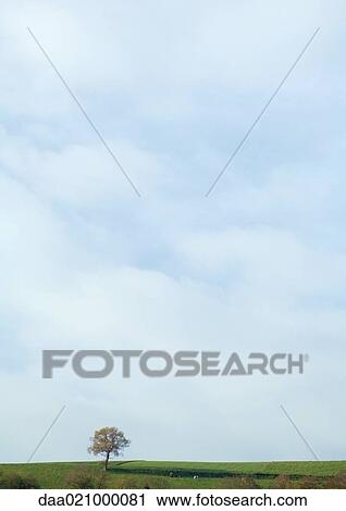 Switzerland, landscape with tree and sky View Large Photo Image Stock Image - Switzerland, landscape with tree and sky. Fotosearch