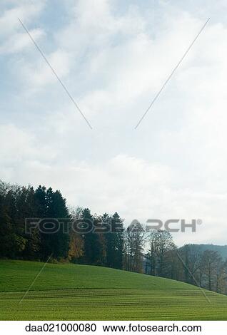 Switzerland, landscape with trees and sky View Large Photo Image Stock Image - Switzerland, landscape with trees and sky. Fotosearch