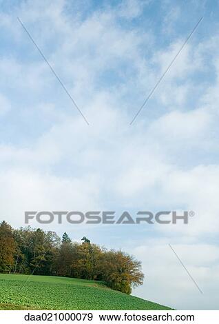Stock Photo - Switzerland, landscape with trees and sky. Fotosearch