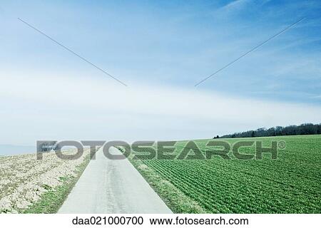 Switzerland, Vaud canton, road going through agricultural landscape View Large Photo Image Stock Image - Switzerland, Vaud canton, road going through agricultural landscape. Fotosearch
