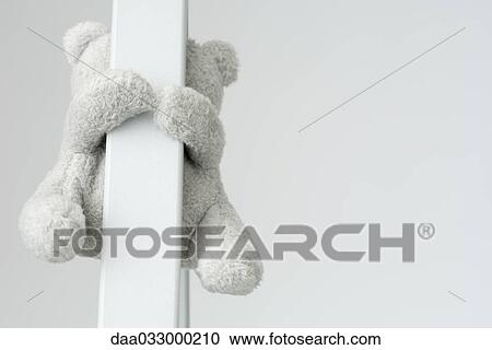Teddy bear holding on to pole, close-up View Large Photo Image Stock Image - Teddy bear holding on to pole, close-up. Fotosearch