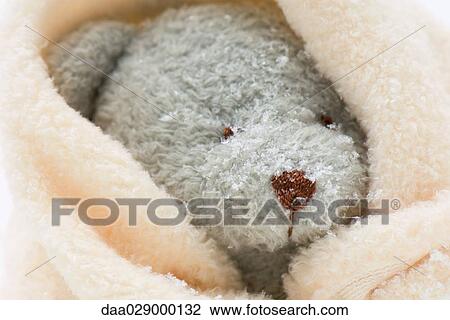 Teddy bear wrapped in blanket, close-up View Large Photo Image Stock Image - Teddy bear wrapped in blanket, close-up. Fotosearch