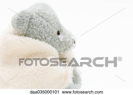 Teddy bear wrapped in blanket, lightly snow-covered View Large Photo Image Stock Image - Teddy bear wrapped in blanket, lightly snow-covered. Fotosearch
