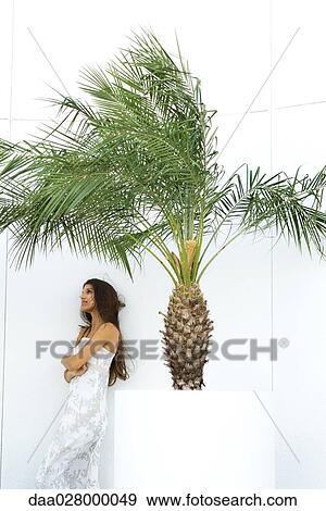 Teen girl in dress with arms crossed, standing next to palm tree in planter, looking away View Large Photo Image Stock Photo - Teen girl in dress with arms crossed, standing next to palm tree in planter, looking away. Fotosearch