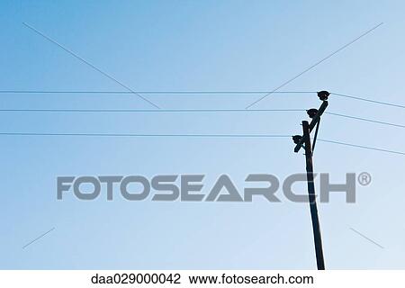 Telephone line and blue sky, low angle view View Large Photo Image Stock Image - Telephone line and blue sky, low angle view. Fotosearch