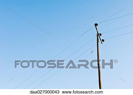 Stock Image - Telephone post, low angle view. Fotosearch