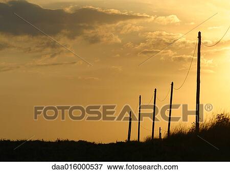 Telephone posts silhouetted at sunset View Large Photo Image Stock Photo - Telephone posts silhouetted at sunset. Fotosearch