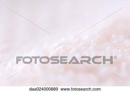Terry cloth, extreme close-up View Large Photo Image Stock Photo - Terry cloth, extreme close-up. Fotosearch