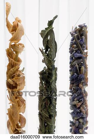 Test tubes containing dried flowers, berries and spices View Large Photo Image Stock Photo - Test tubes containing dried flowers, berries and spices. Fotosearch