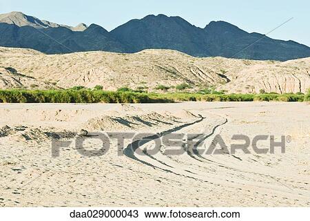 Tire tracks in desert landscape, Argentina, South America View Large Photo Image Stock Image - Tire tracks in desert landscape, Argentina, South America. Fotosearch