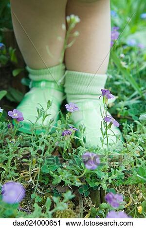 Toddler girl standing on wildflowers, low section View Large Photo Image Stock Image - Toddler girl standing on wildflowers, low section. Fotosearch