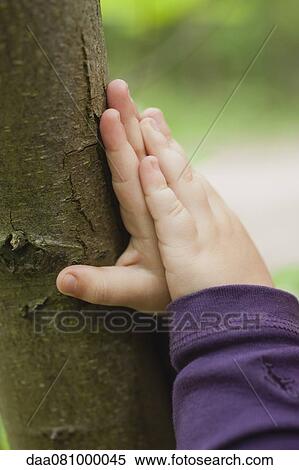 Stock Photography - Toddler's hands touching tree trunk, cropped. Fotosearch