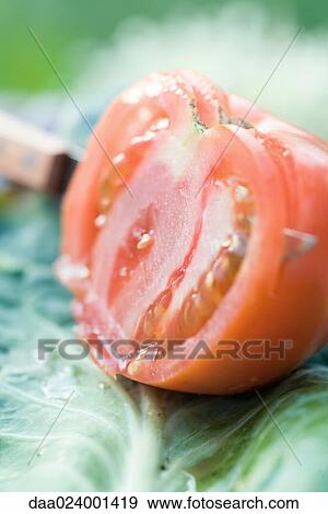 Tomato being sliced, still life View Large Photo Image Stock Photo - Tomato being sliced, still life. Fotosearch