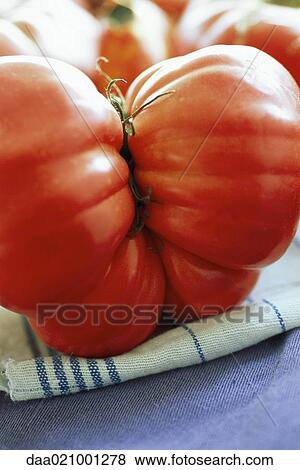 Stock Photo - Tomato. Fotosearch