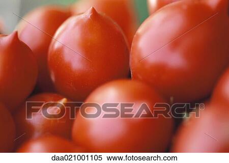 Tomatoes, close-up View Large Photo Image Stock Photography - Tomatoes, close-up. Fotosearch