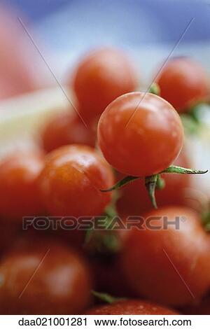 Tomatoes View Large Photo Image Stock Image - Tomatoes. Fotosearch